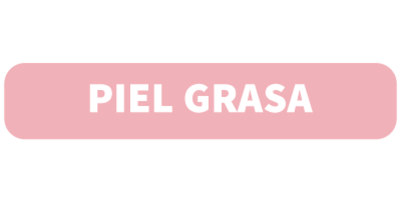 2-piel-grasa.png