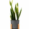 MACETA CERAMICA GRANDE CON SOPORTE BAJA GRIS OSCURO