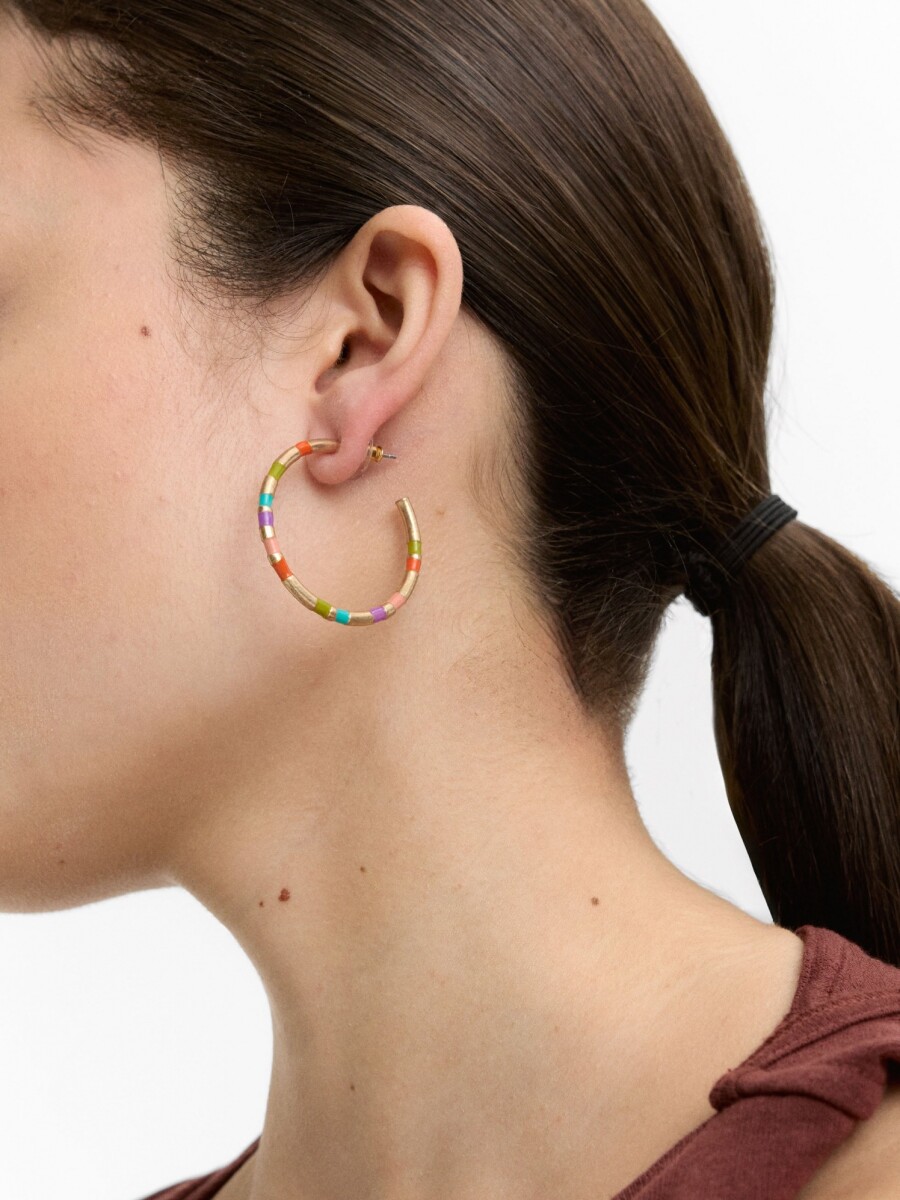 Pendientes De Aro Esmaltados Segmentados Multicolor multicolor