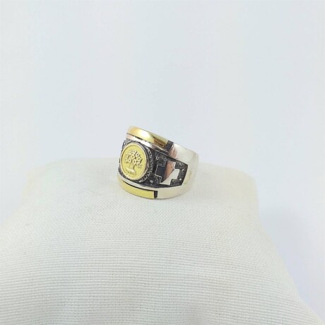 Anillo de plata 925 , arbol de la vida en double de oro 18 Ktes, ancho superior 18 mm. Medidas: diámetro interno 18mm #17. Anillo de plata 925 , arbol de la vida en double de oro 18 Ktes, ancho superior 18 mm. Medidas: diámetro interno 18mm #17.