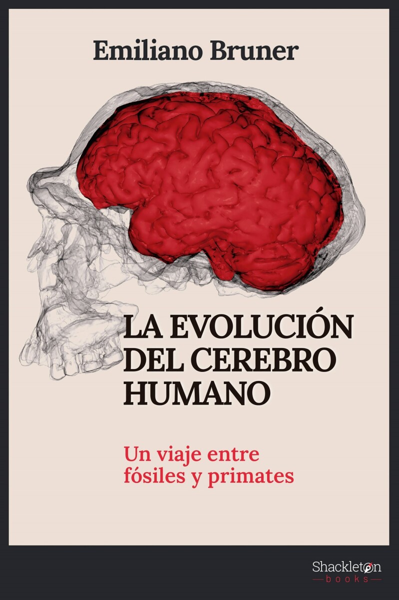 EVOLUCION DEL CEREBRO HUMANO, LA 