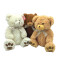 Peluche Oso 40 cm Phi Phi Blanco