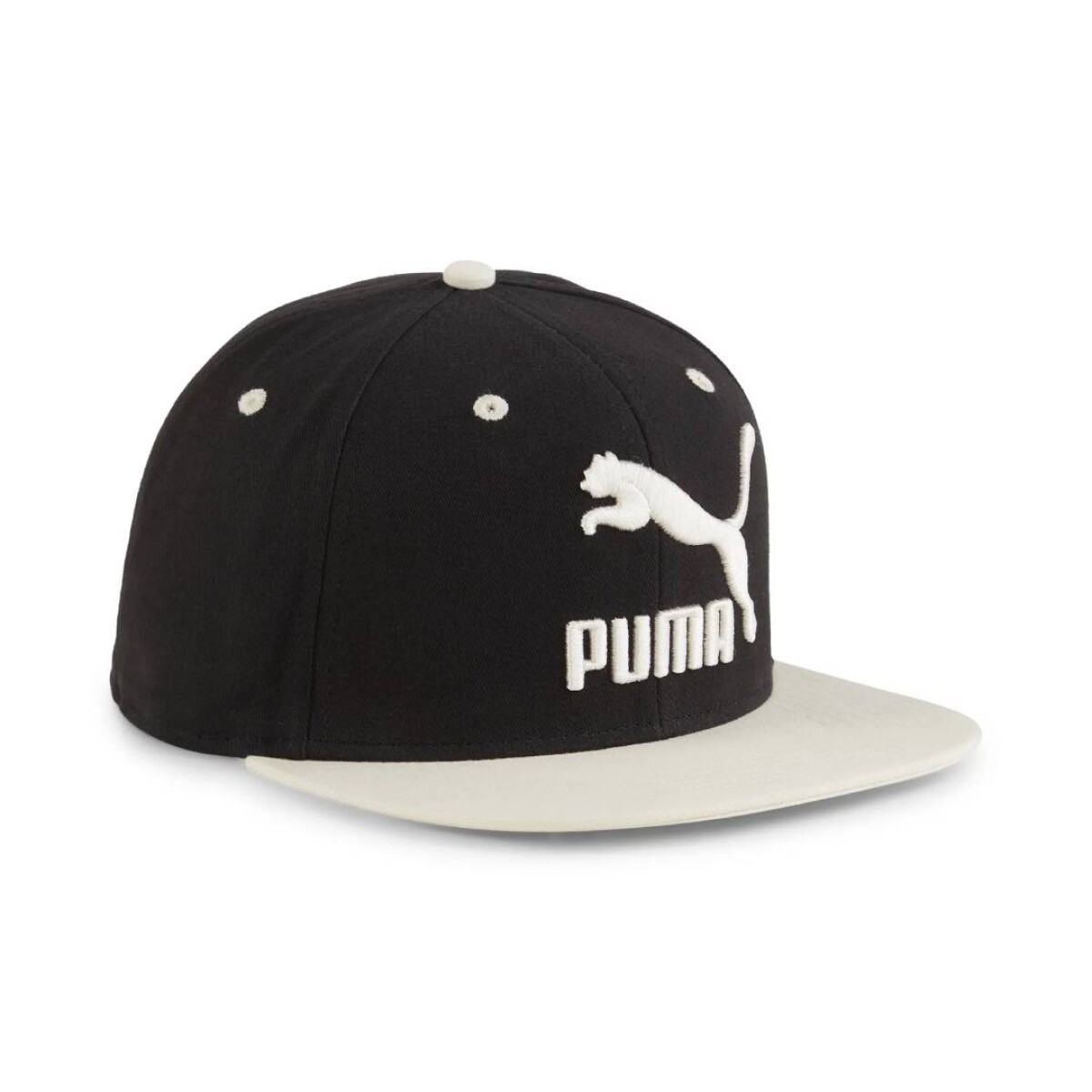 CLASSICS FB CAP - Negro 