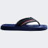Ojotas Havaianas New Urban Way Azul