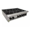 Anafe de Mesa 6 Fuegos PF106G Venancio Prime Anafe de Mesa 6 Fuegos PF106G Venancio Prime
