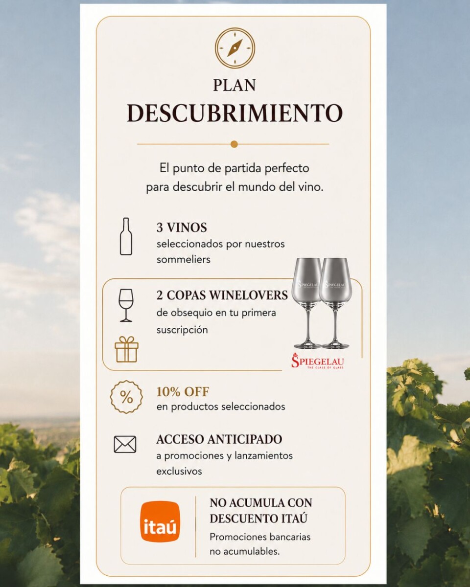 Plan Descubrimiento 