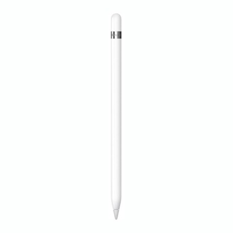 Apple Pencil (1ra Generación) Con Adaptador Usb C MQLY3AM/A Apple Pencil (1ra Generación) Con Adaptador Usb C MQLY3AM/A