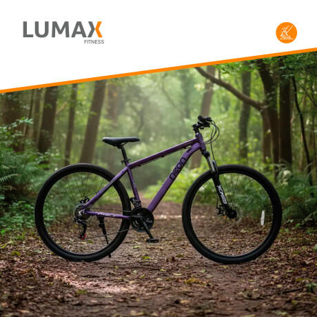 Bicicleta Montaña 26 Cuadro Aluminio Freno Disco 21 Cambios Lavander