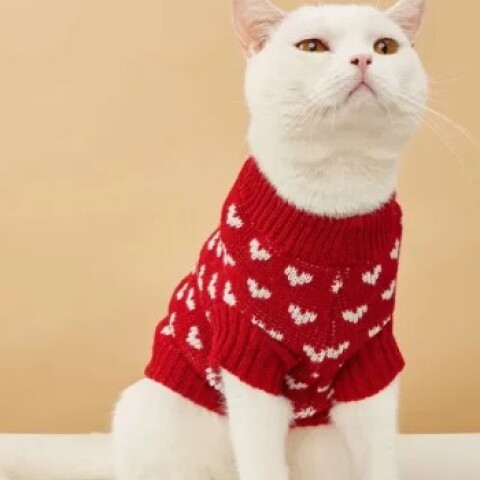 Sweater Para Gato Rojo