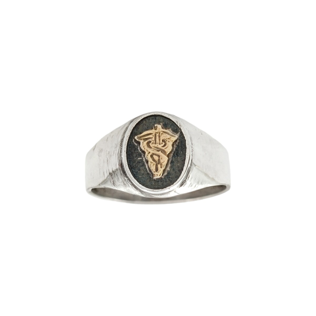 Anillo Profesión Fisioterapeuta - Plata y Oro-Sin Piedra-AP5045 - ap5039 