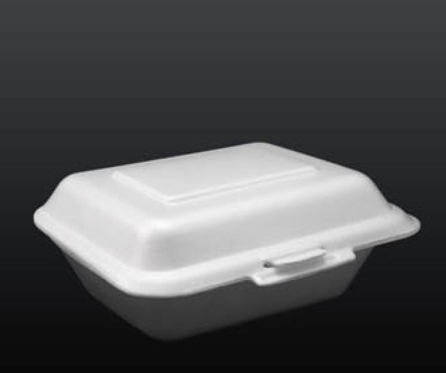 BANDEJA DE ESPUMA BLANCA CON TAPA 14X22X6 CM. 