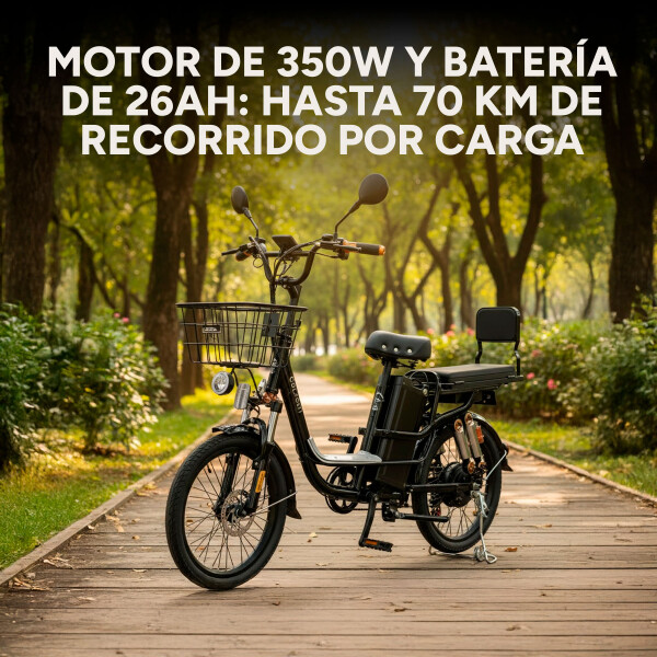 Bicicleta Electrica GoGreen Delivery R20 350w Bateria 26Ah Color Negro