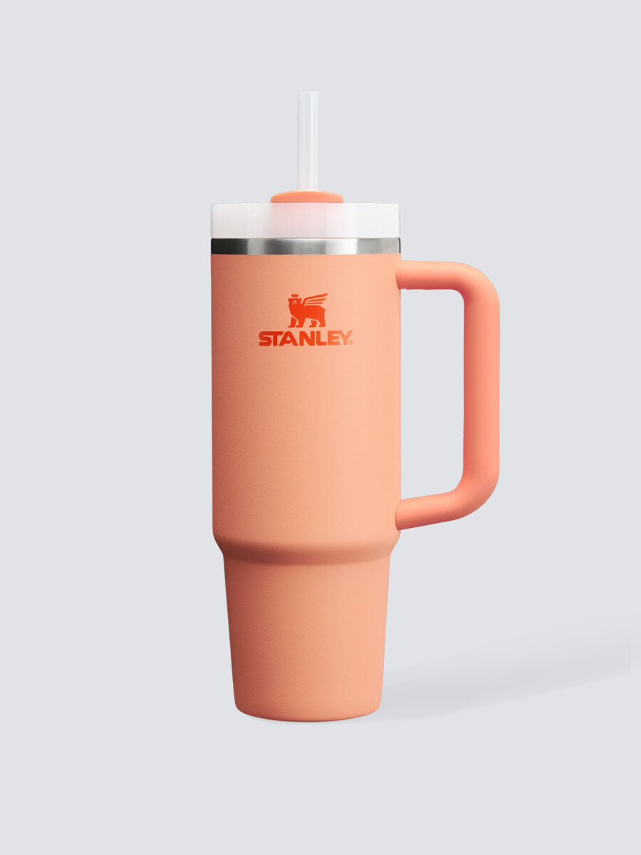 Stanley Quencher H2.0 Tumbler The Flowstate 30oz - Salmon 