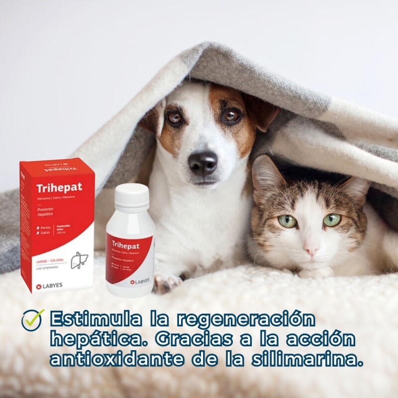 TRIHEPAT JARABE FRASCO 100 ML TRIHEPAT JARABE FRASCO 100 ML