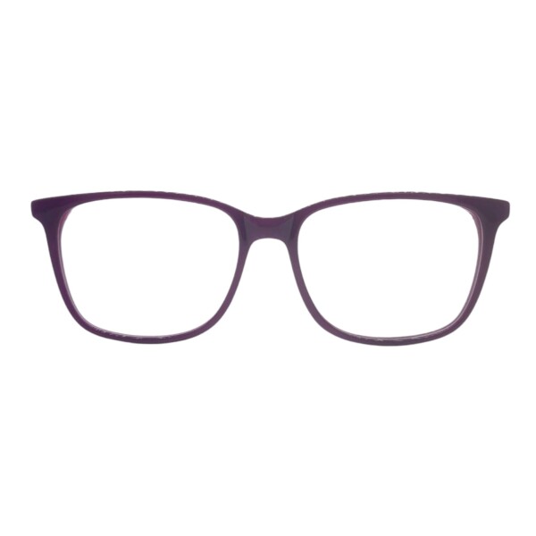 BV205323 violetauniforme