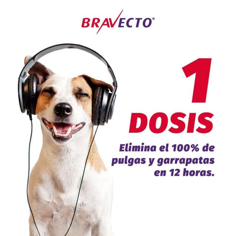 BRAVECTO ANTIPULGAS Y ANTIGARRAPATAS 40 A 56 KG