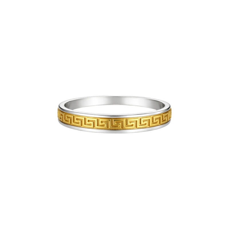 Anillo cinta griega - Plata y Oro - sin piedra - AN5995 sinpiedra