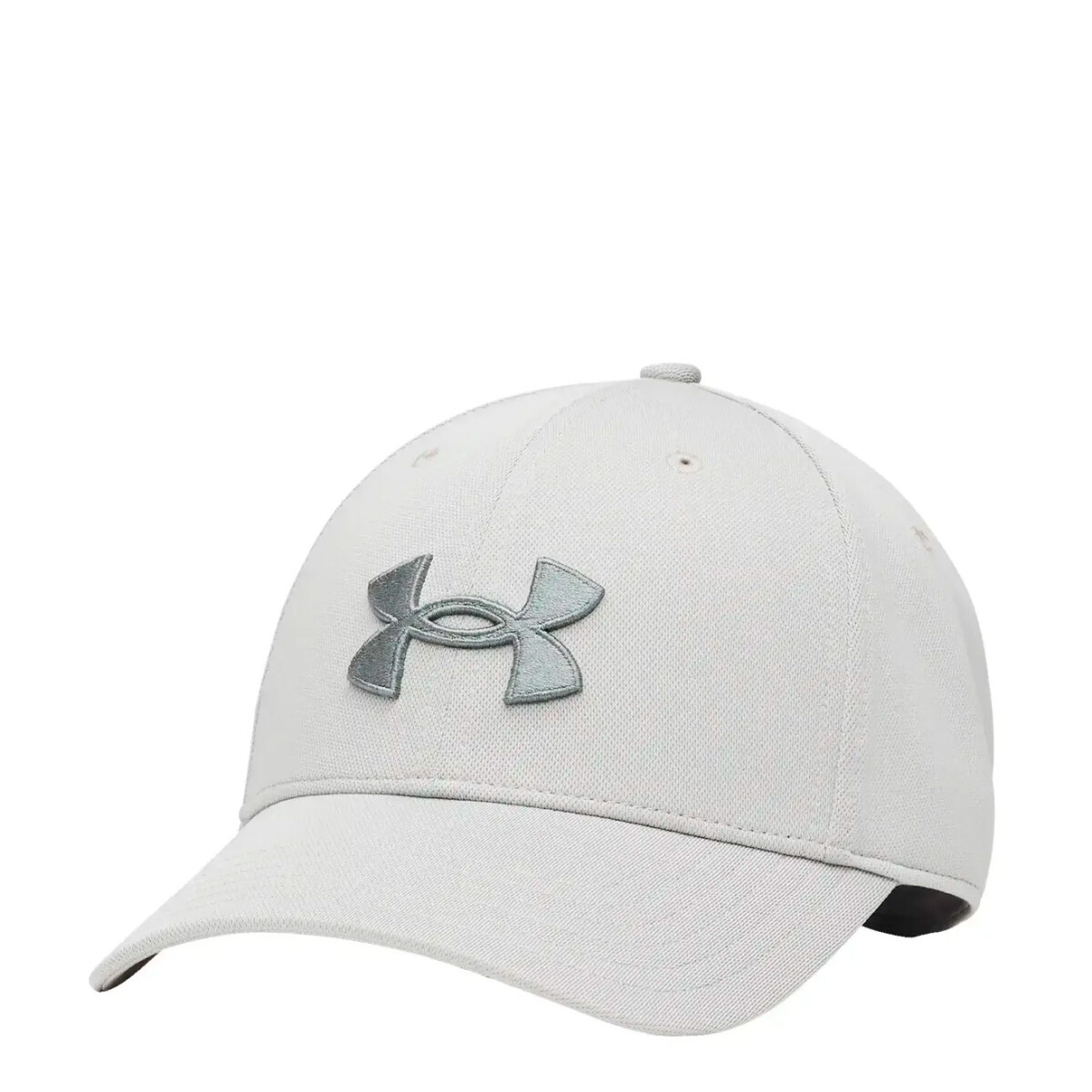 Gorra UNDER ARMOUR M Blitzing Adj - Gris 