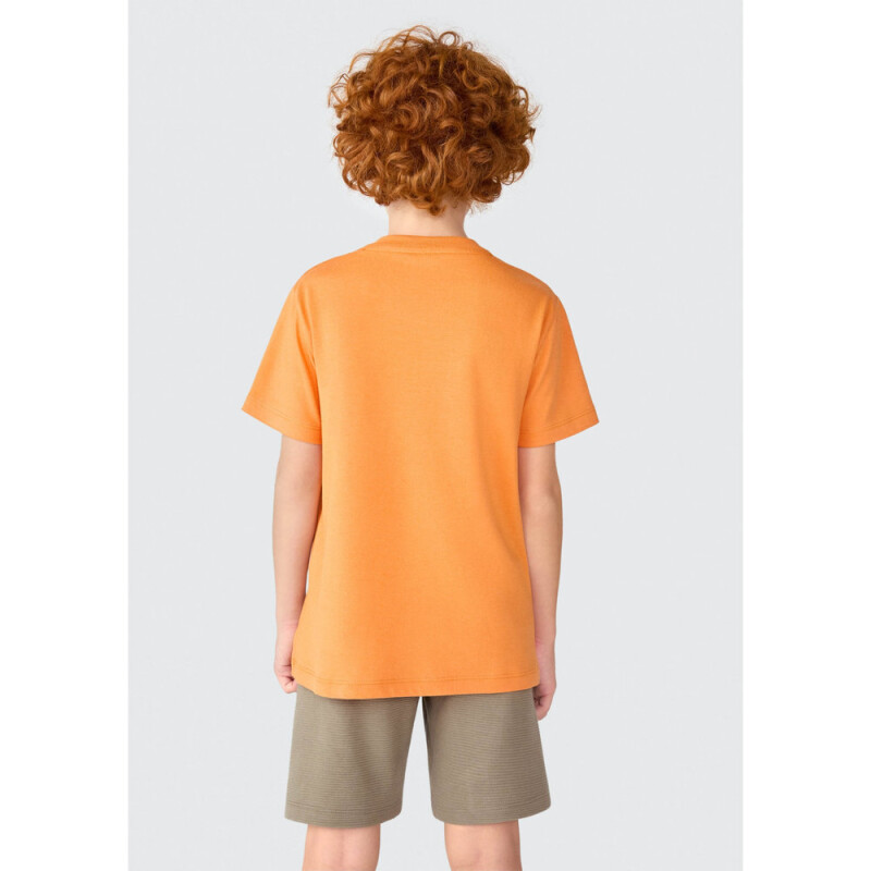 CAMISETA MM MASC SURTIDO