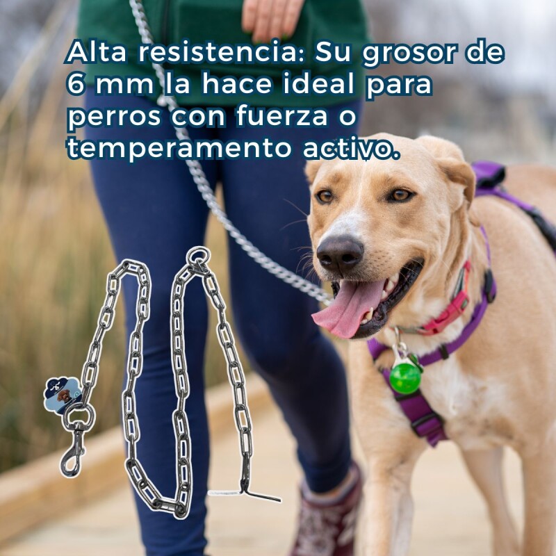 CADENA SOLDADA CON GANCHO 6 MM PARA PERROS SEGUROS CADENA SOLDADA CON GANCHO 6 MM PARA PERROS SEGUROS