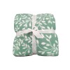 Frazada Home Class con corderito 2 Plazas Menta