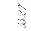 SS27