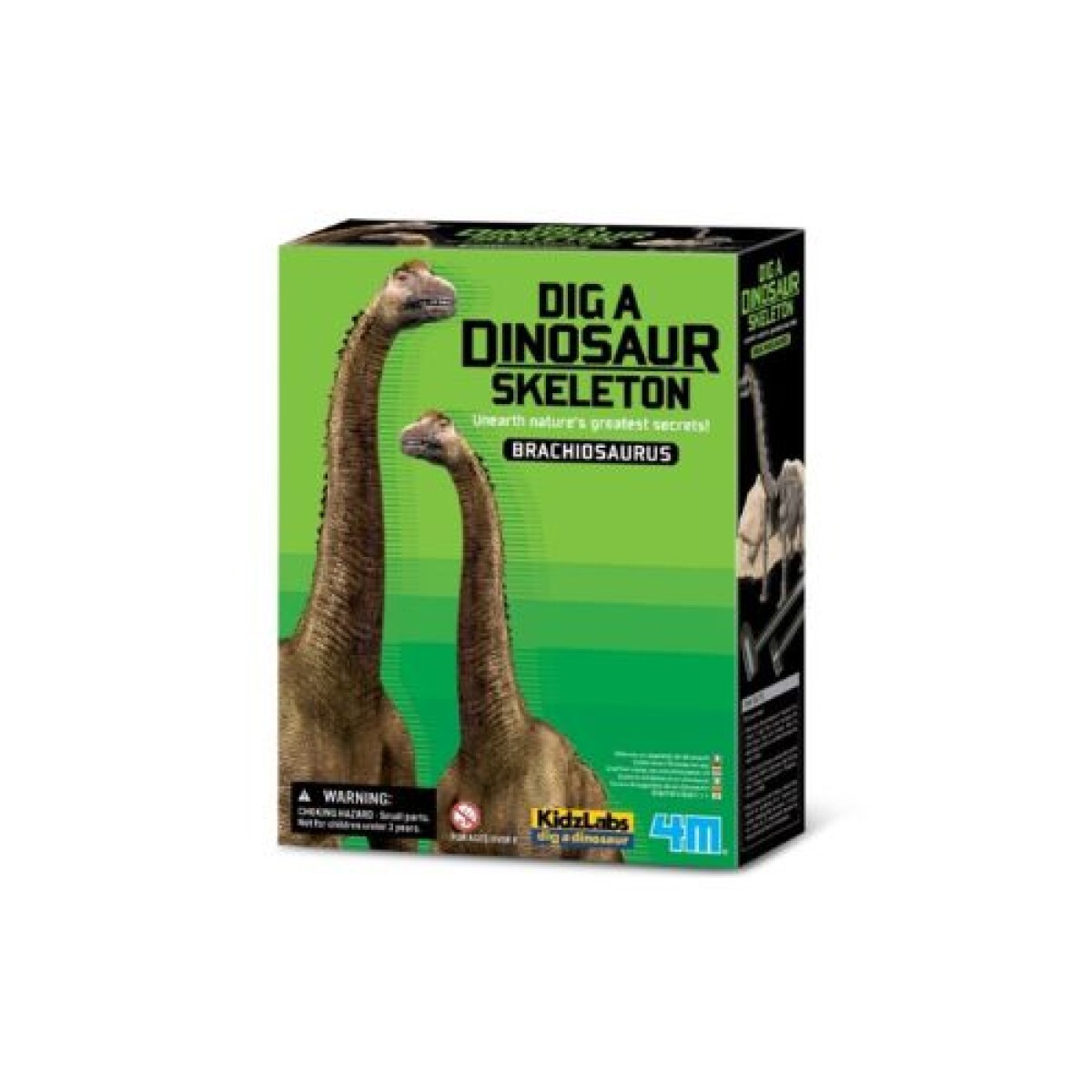 Excavá un dinosaurio - Branchiosaurus 