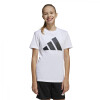 Conjunto Deportivo ADIDAS J BL T-SET FT de Unisex - JC9715 Blanco-negro