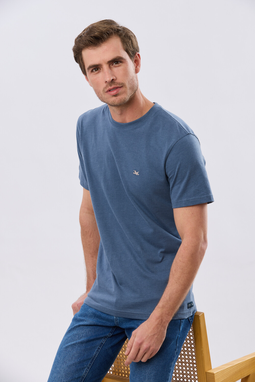 REMERA BÁSICA DE ALGODÓN Piedra