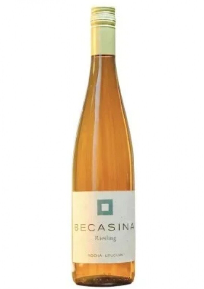 Becasina Riesling 