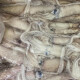 CHIPIRON ENTERO EN BLOQUE 20/40 - 8KG Chipiron Entero En Bloque 20/40 - 8kg