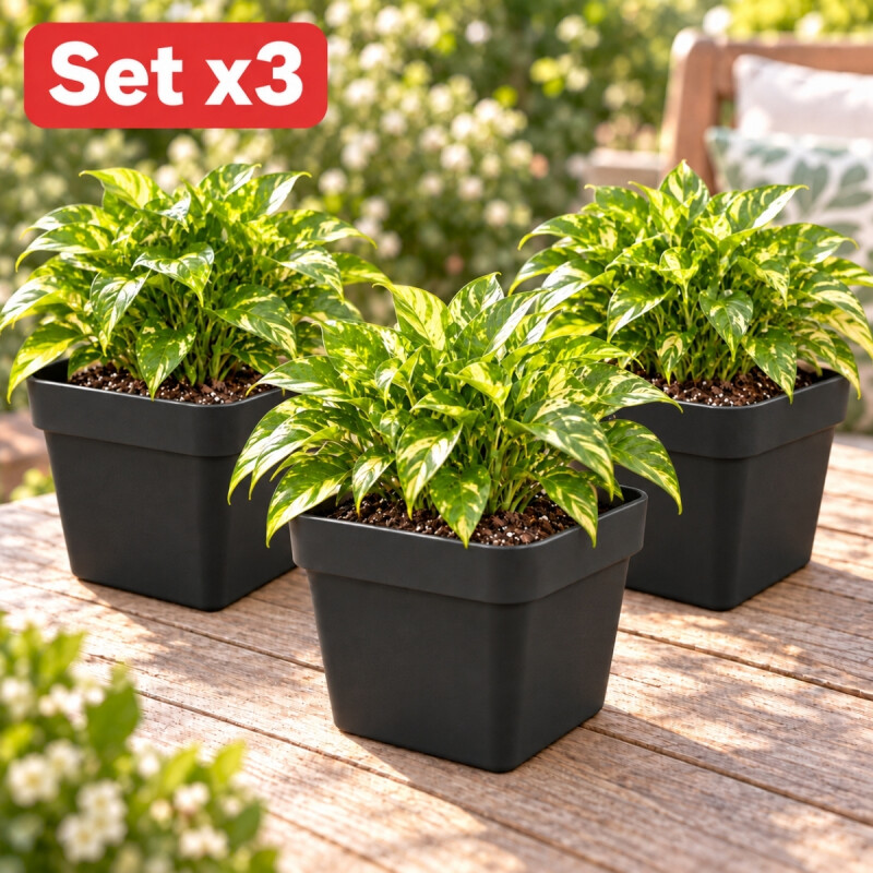Set x3 Maceta cuadrada 3,8 lts NEGRO