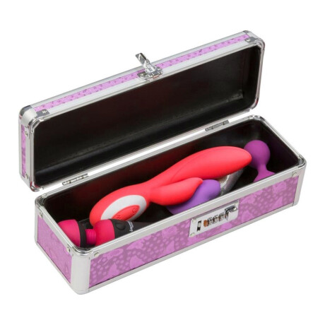 Porta Juguetes con Cerradura The Toy Chest Chico Rosa