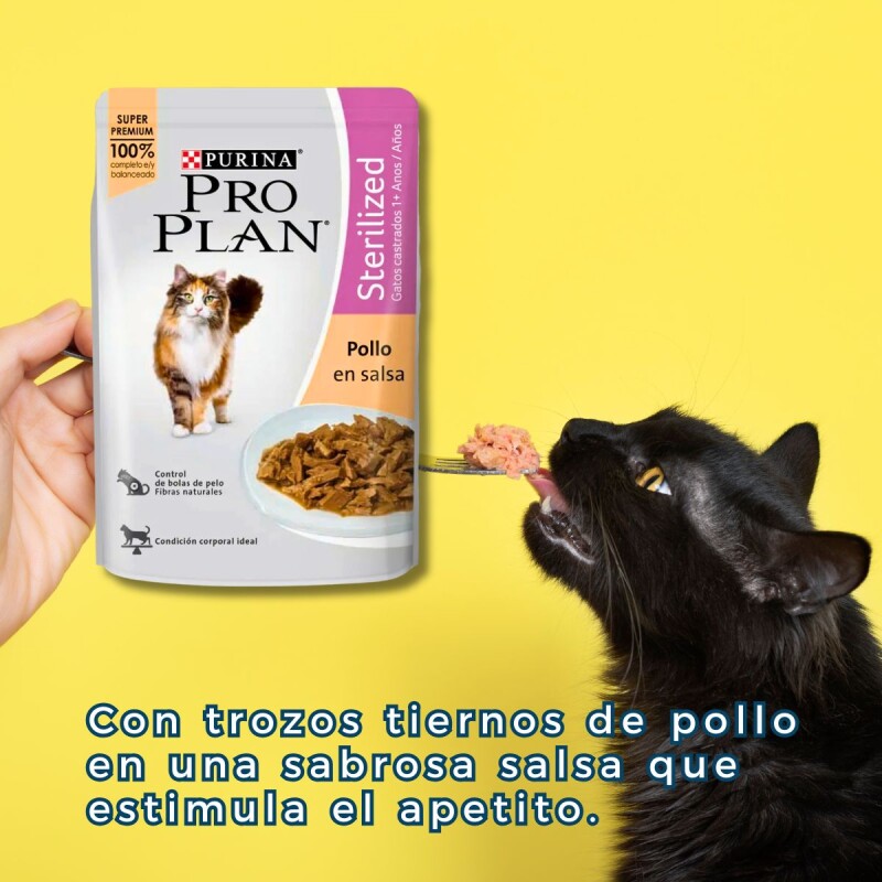 PRO PLAN EN SALSA GATO CASTRADO POLLO 85 GRAMOS PRO PLAN EN SALSA GATO CASTRADO POLLO 85 GRAMOS