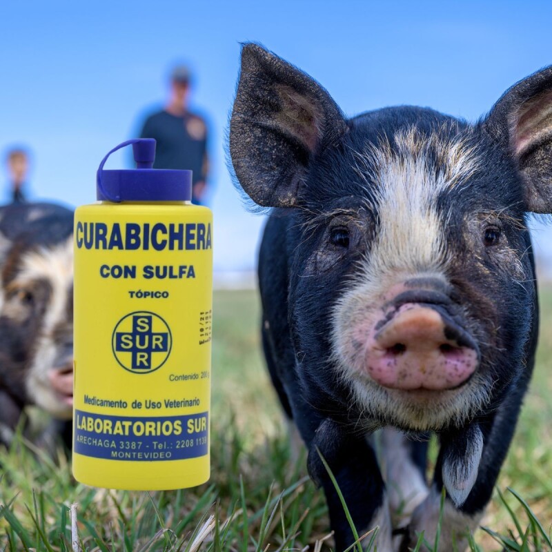CURABICHERA SUR CON SULFA 200 G CURABICHERA SUR CON SULFA 200 G