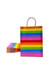 Pack x 20 - bolsa fantasia 22x10x30 cm. ARCO IRIS