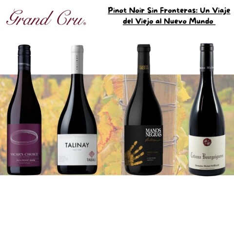 Pinot Noir Sin Fronteras :Un Viaje del Viejo al Nuevo Mundo Pinot Noir Sin Fronteras :Un Viaje del Viejo al Nuevo Mundo