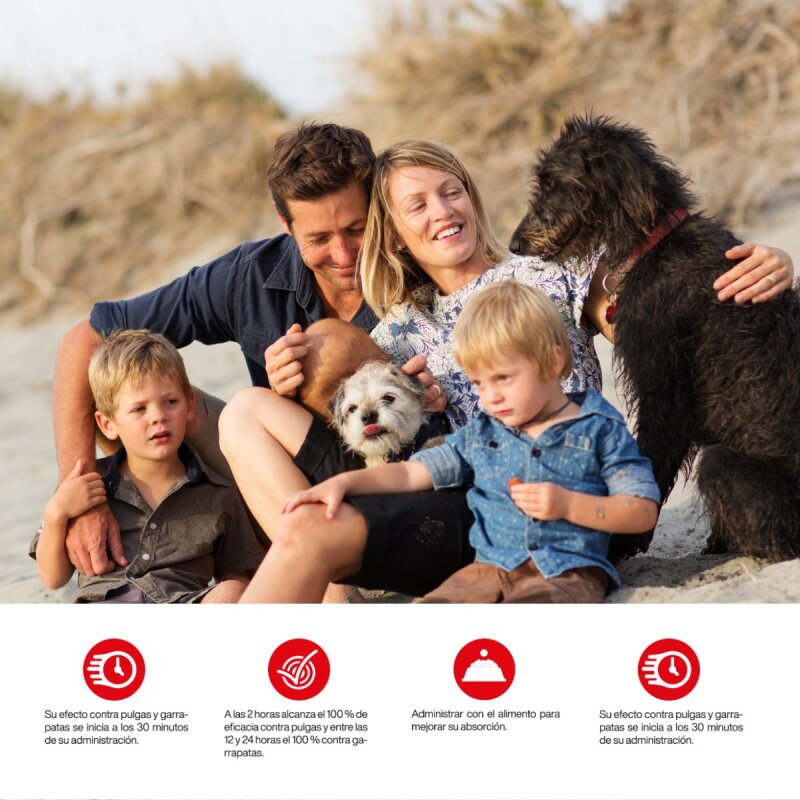 CIDAR PERROS PASTILLA ANTIPULGAS Y ANTIGARRAPATAS KONIG 3.1 A 6 KG