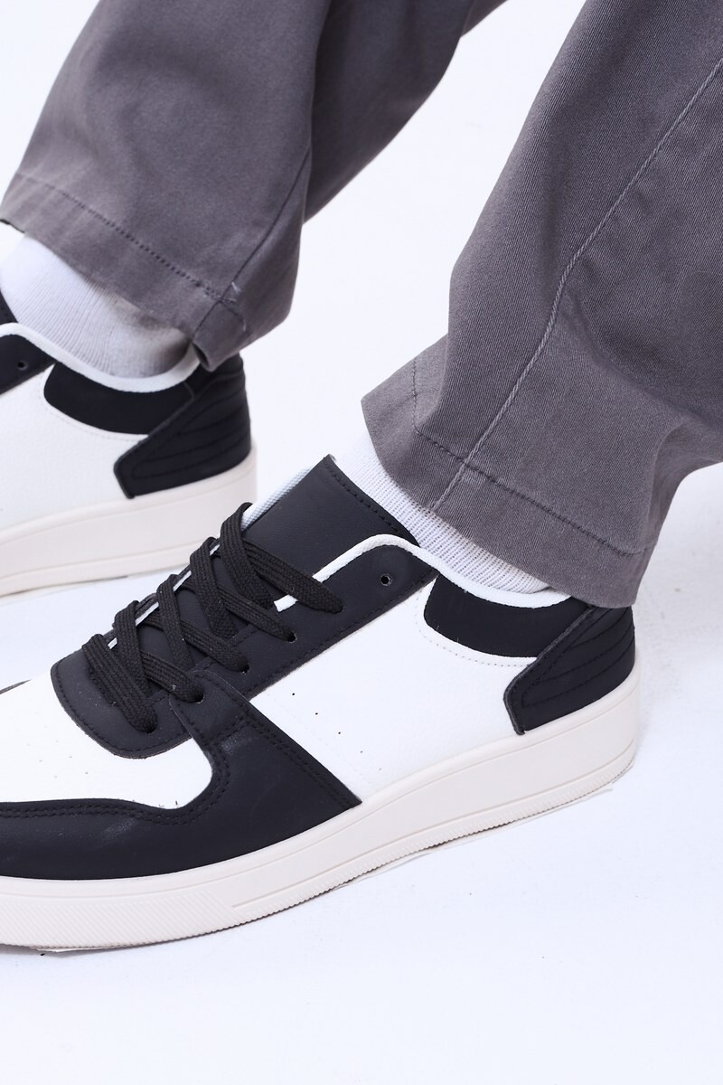 Champion Sinaloa Negro