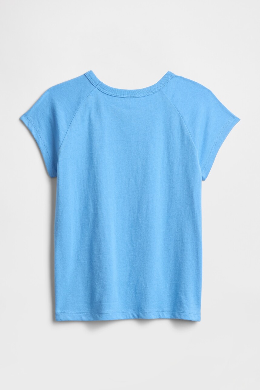 Remera Raglan Niña Blue Butterflies
