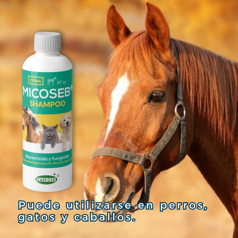 MICOSEB SHAMPOO 250 ML MICOSEB SHAMPOO 250 ML