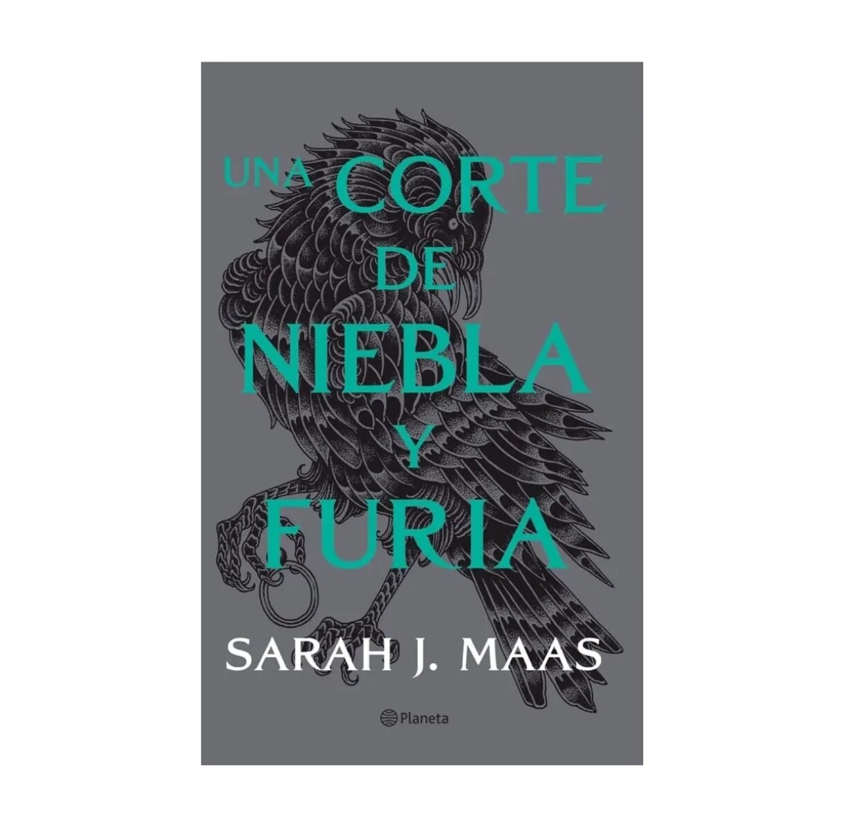 UNA CORTE DE NIEBLA Y FURIA 