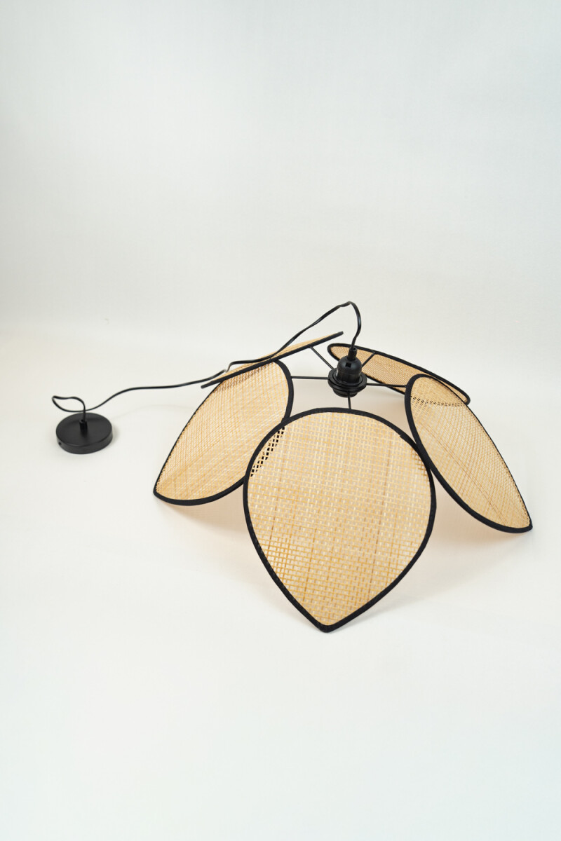 Lampra De Techo Laredo - Color Unico 