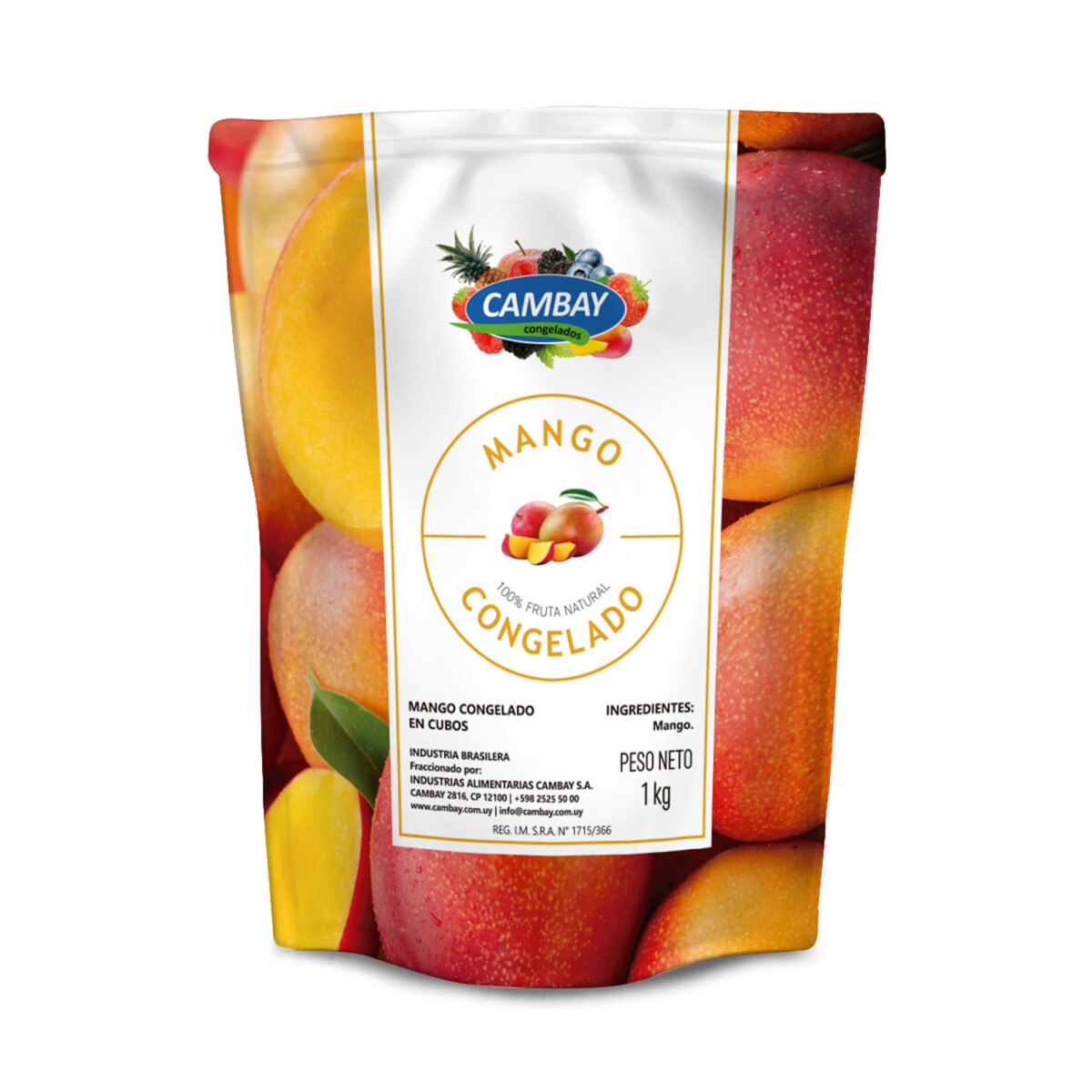 Mango Cambay 1 KG 