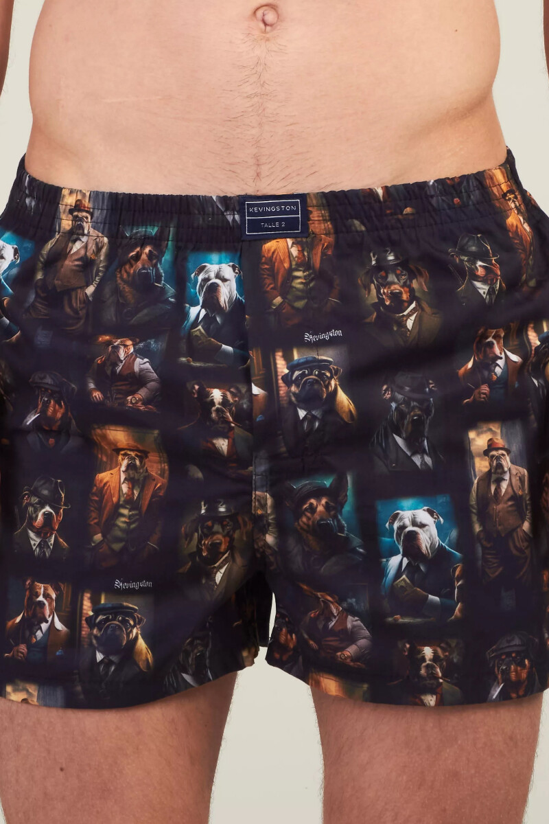Bóxer Kevingston DAE