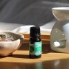 Aceite 10ml hornito Menta