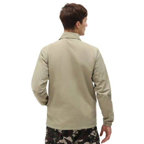 Campera Dickies Oakport Coaches Verde