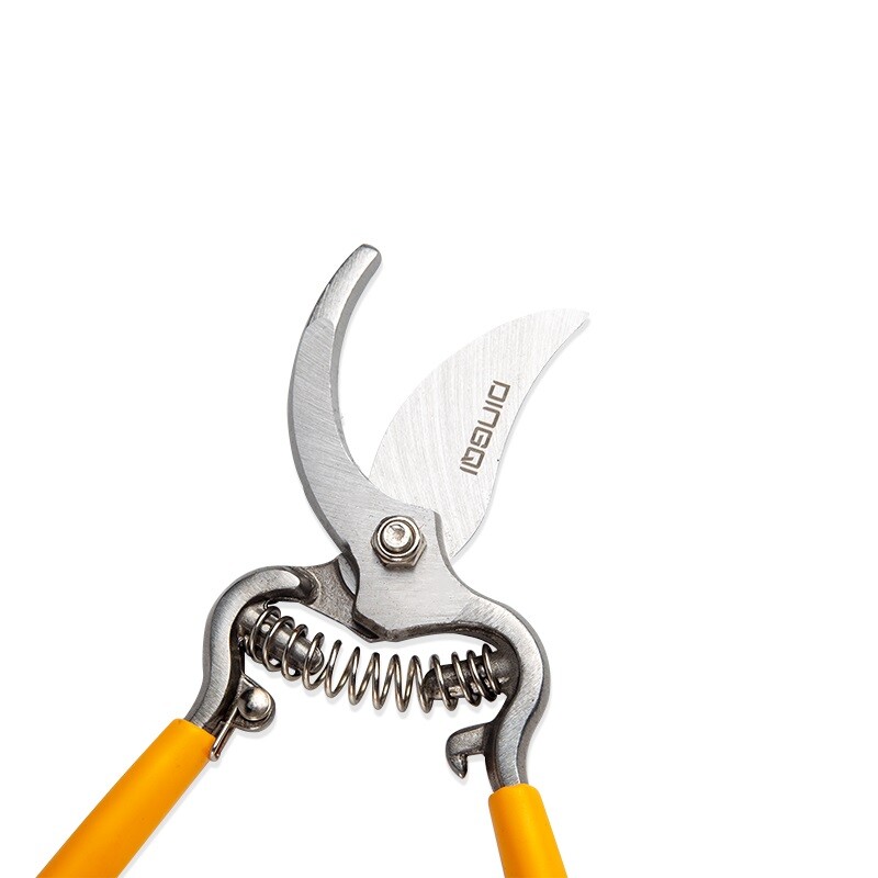 DINGQI TIJERA DE PODAR 8 PULGADAS Dingqi Tijera De Podar 8 Pulgadas