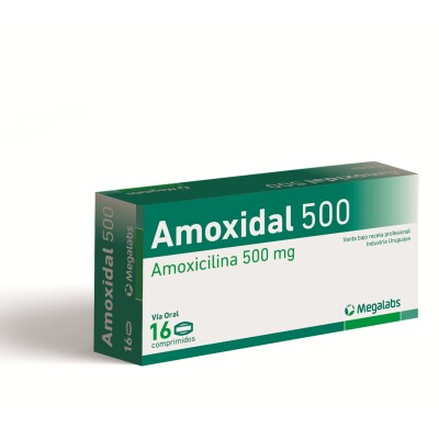 Amoxidal 500 Mg. 16 Comp. Amoxidal 500 Mg. 16 Comp.