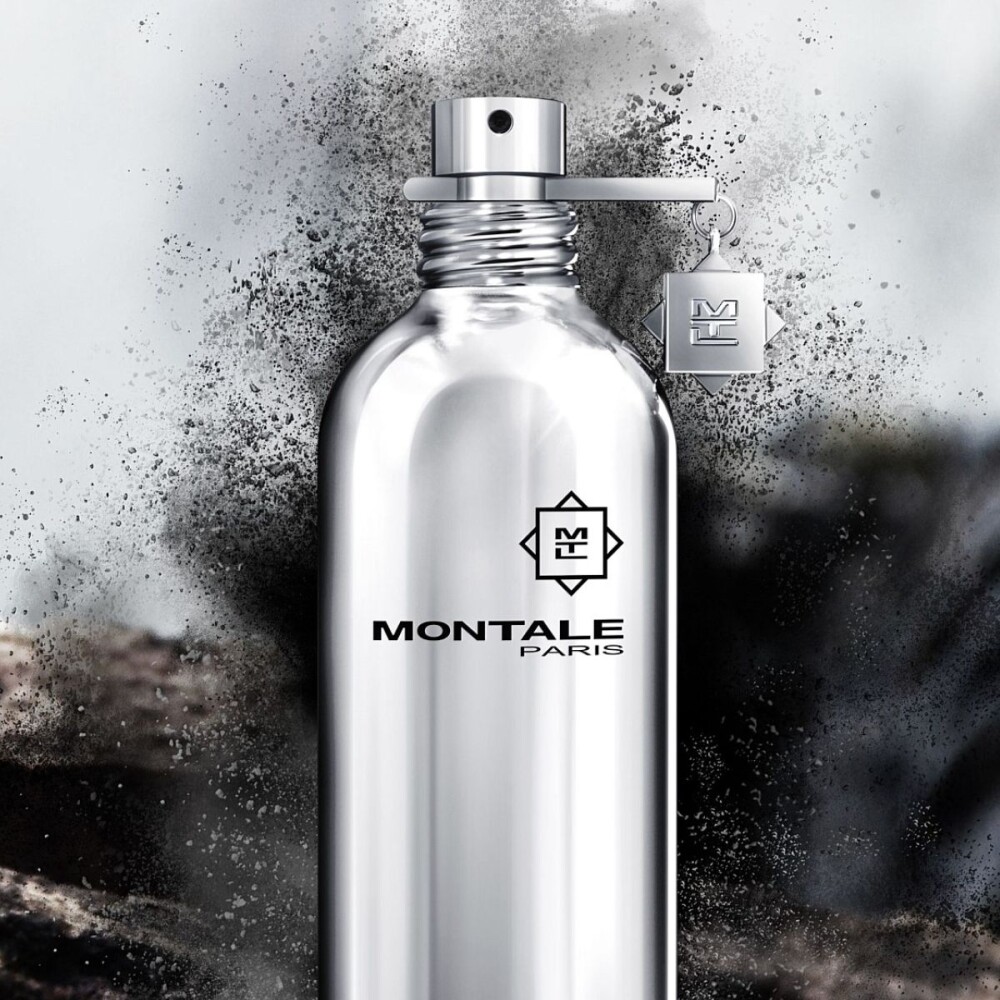 Montale Paris Wood & Spices Eau de Parfum 100ml - Unisex Montale Paris Wood & Spices Eau de Parfum 100ml - Unisex